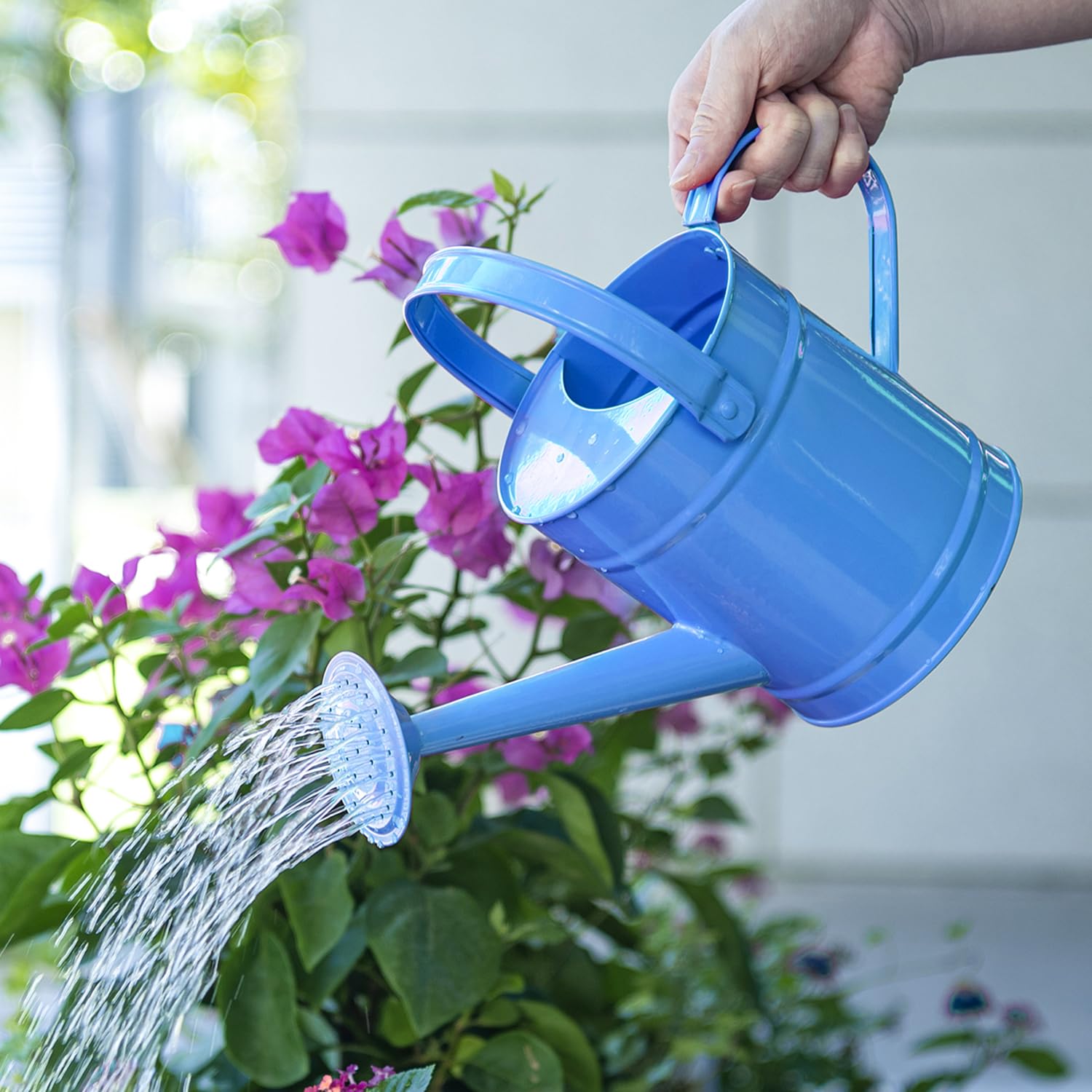 Blue Watering Can: Your Gardens Best Friend, Find Yours Now!