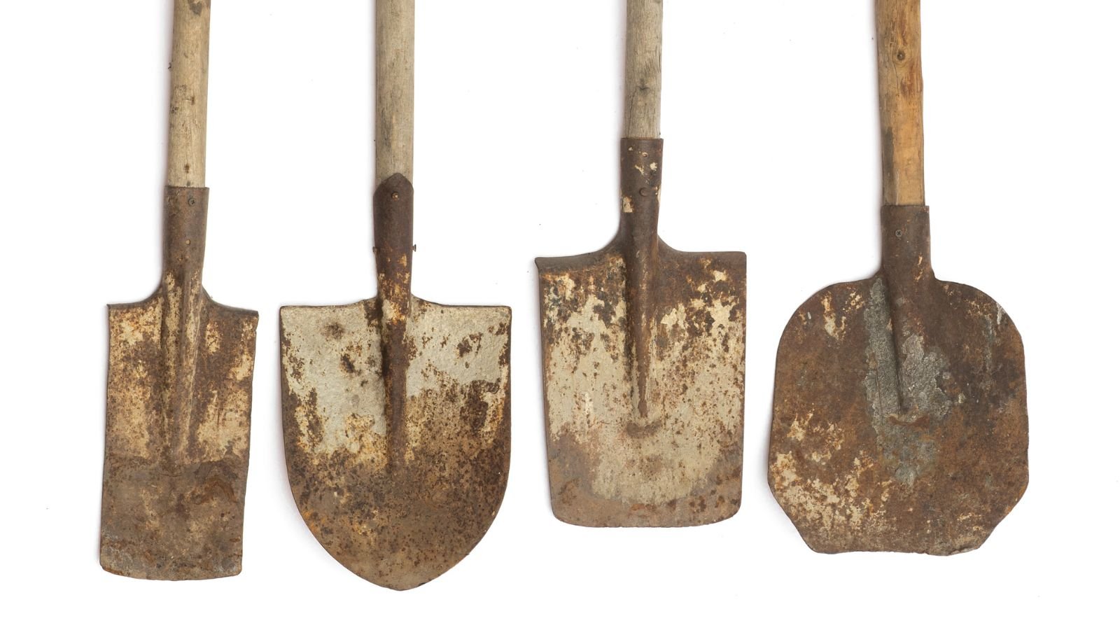 Is Shovel Plant Right for You? Pros and Cons