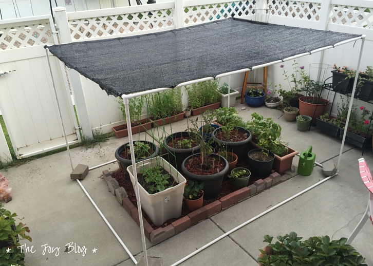DIY Succulent Stand with Shade Cover: Easy Step-by-Step Guide