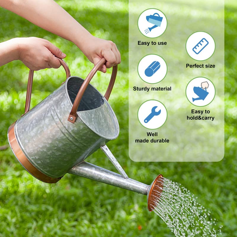 Metal Watering Cans: Find the Perfect One for Your Garden