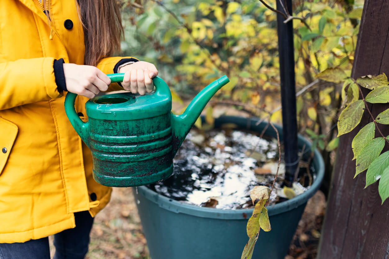 Giant Watering Can: How to Choose the Right One (Tips for Picking a Large Can)