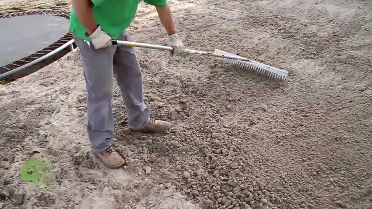 Best Ways: How to Plant Grass in Sandy Soil Like a Pro