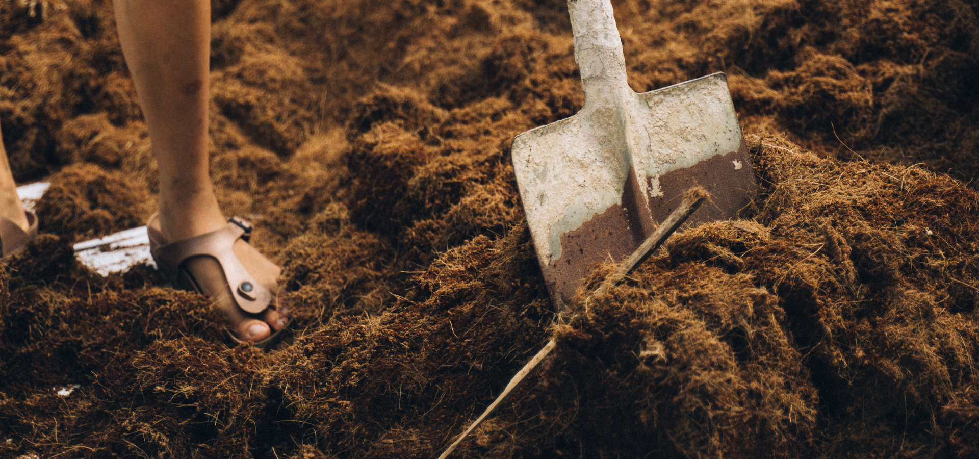 Using a Border Spade Shovel: A Simple Guide
