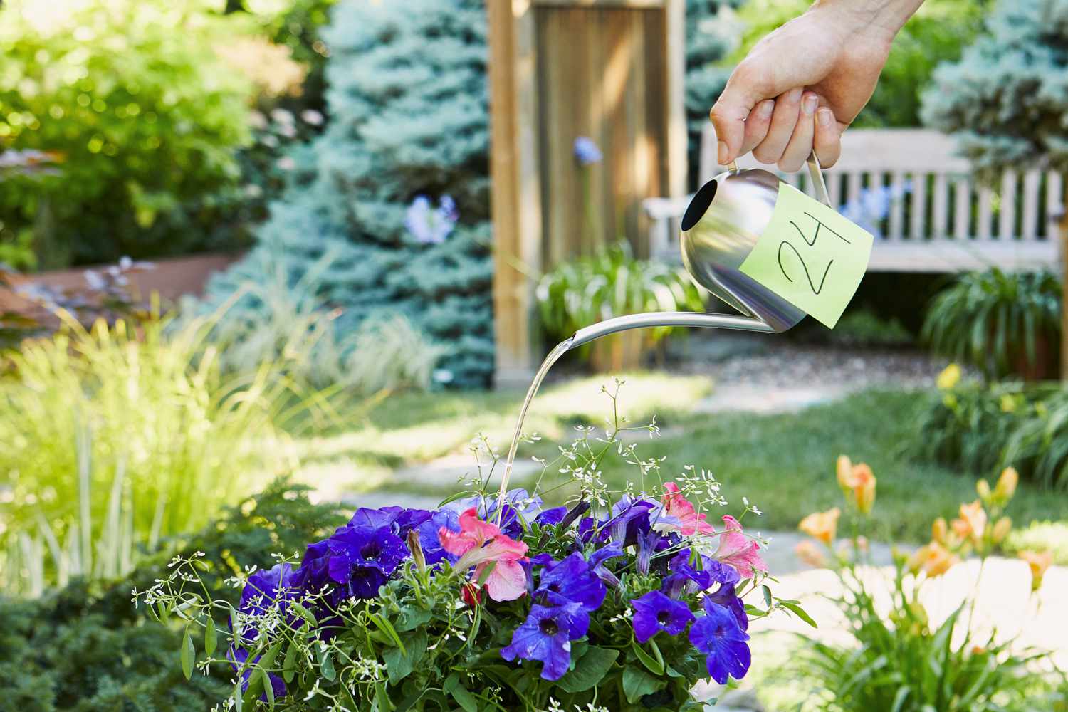 The best silver watering can: our top picks! Check out this buying guide and reviews.