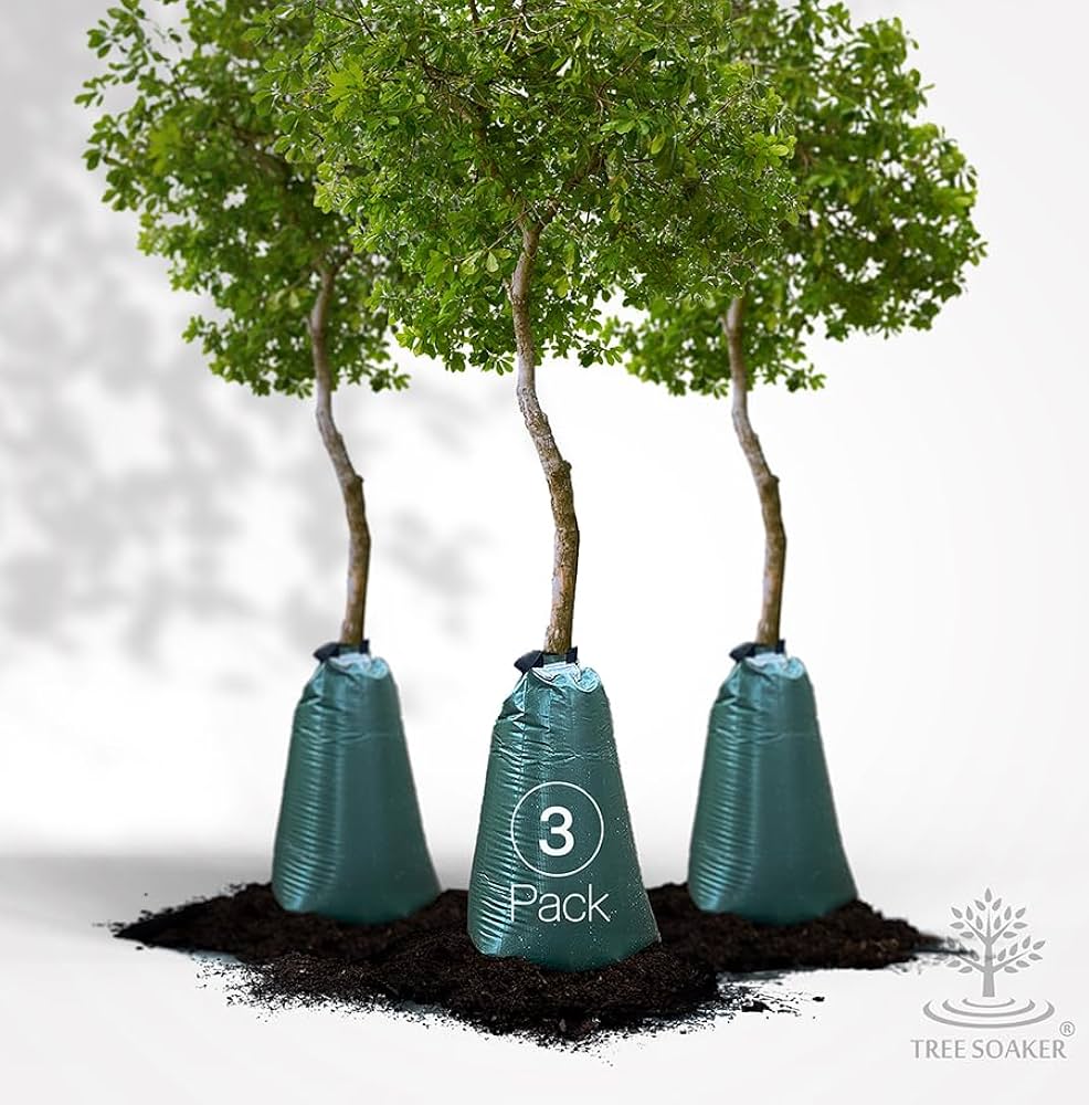 Best Tree Bag Watering Methods for Young Trees