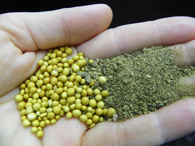 Get the Best Slow Release Fertilizer for Plant Nurseries (How the Best Slow Release Fertilizer for Plant Nurseries Help Plants Grow)