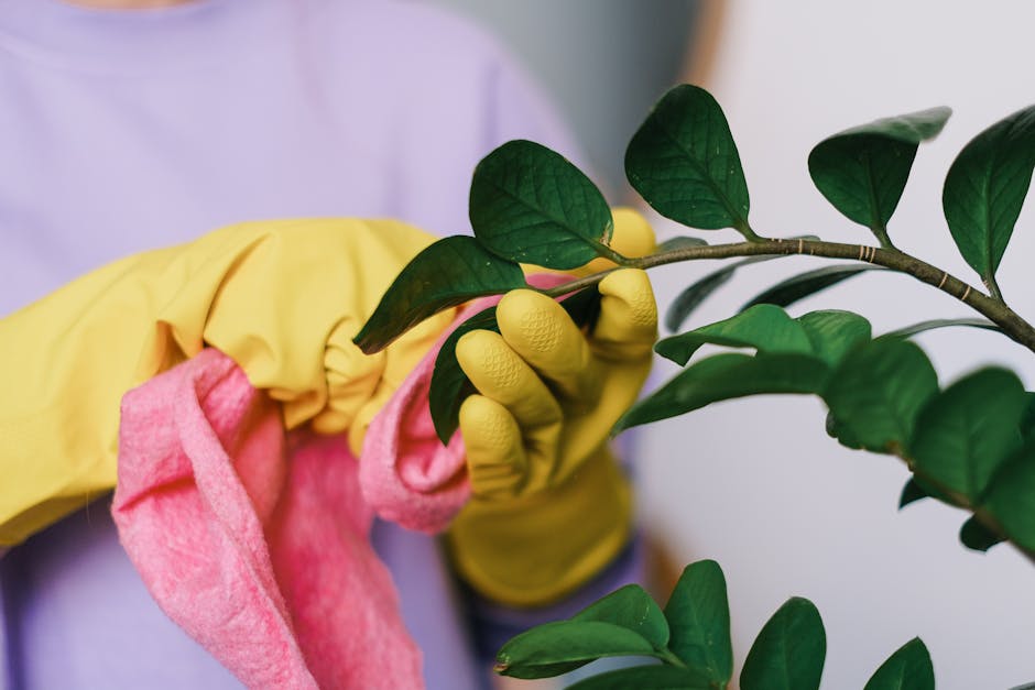 How to Wash Gardening Gloves: A Simple Step-by-Step Guide for Beginners