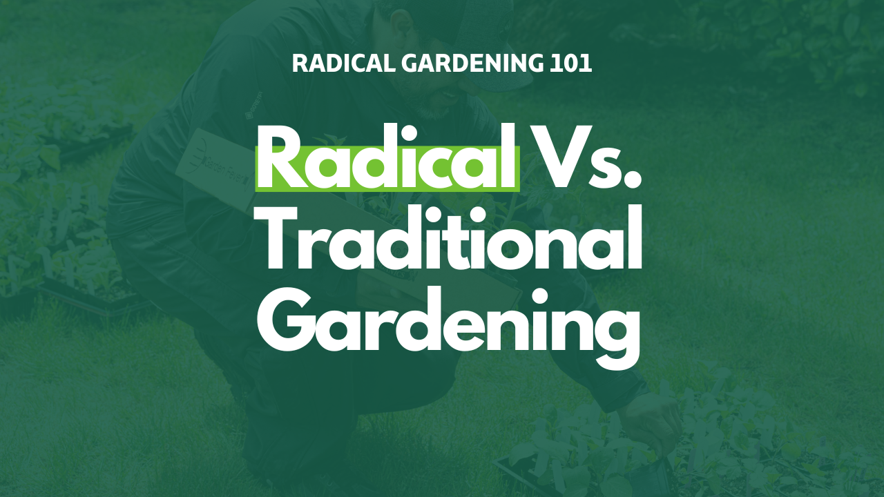 Stand Up Gardening vs. Traditional Gardening: Which is Right for You?