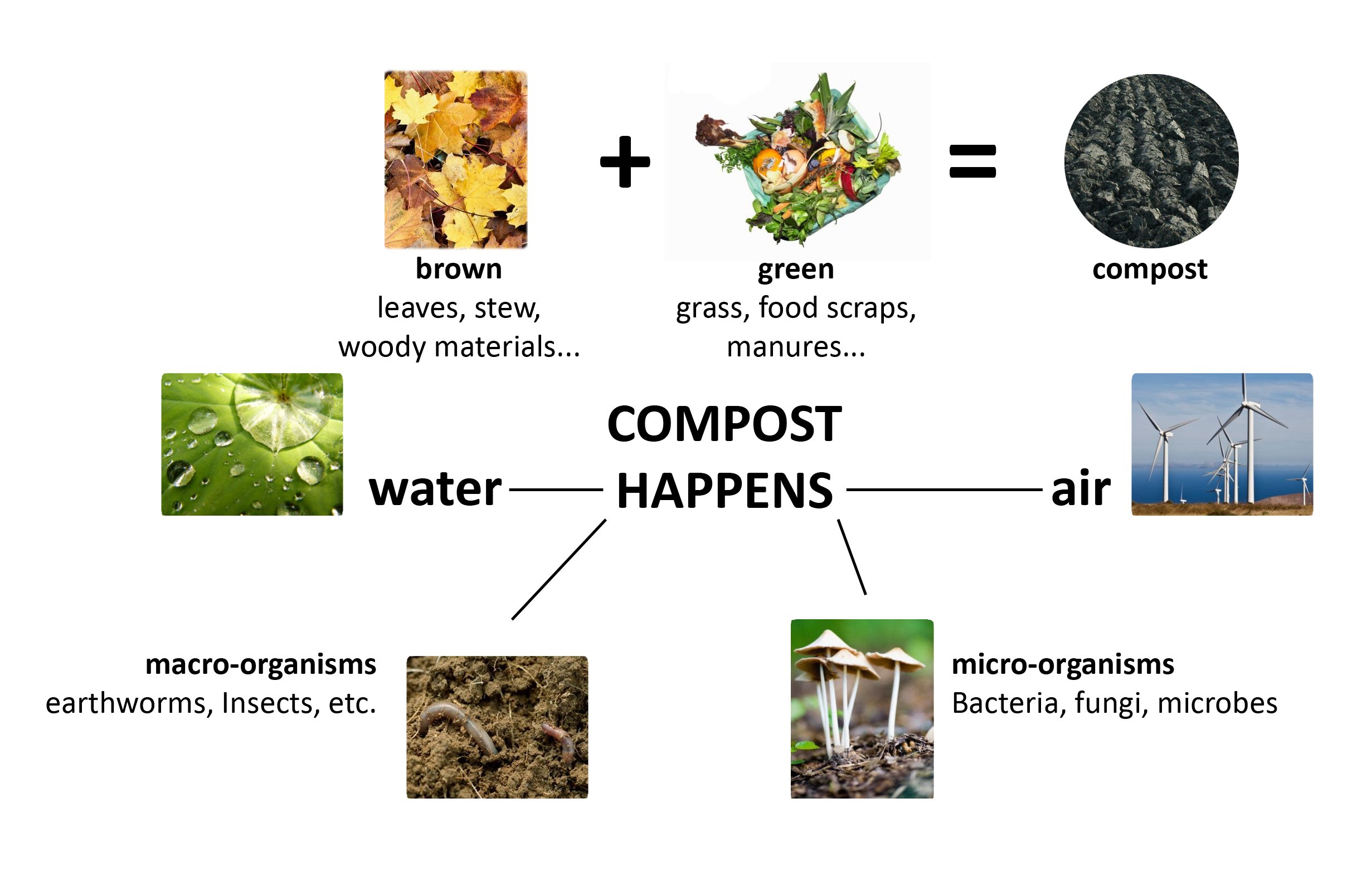 The Flowerpot: A Microcosm of Creativity, Sustainability, and Personal Expression