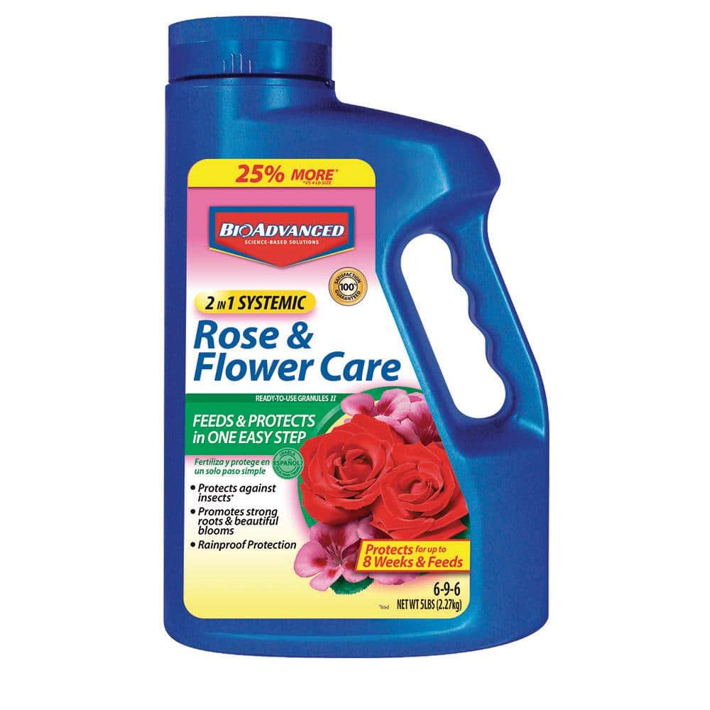 Pesticides for Rose Plants: Common Problems and Easy Solutions