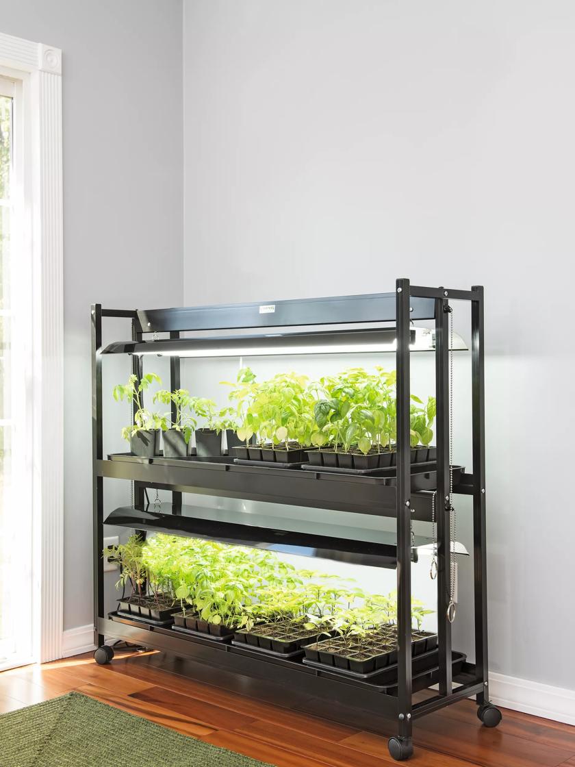 Upgrade Your Garden with Gardeners Supply Grow Lights