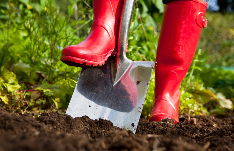 Tilling Soil by Hand: A Beginners Guide (Simple Steps for Garden Prep)