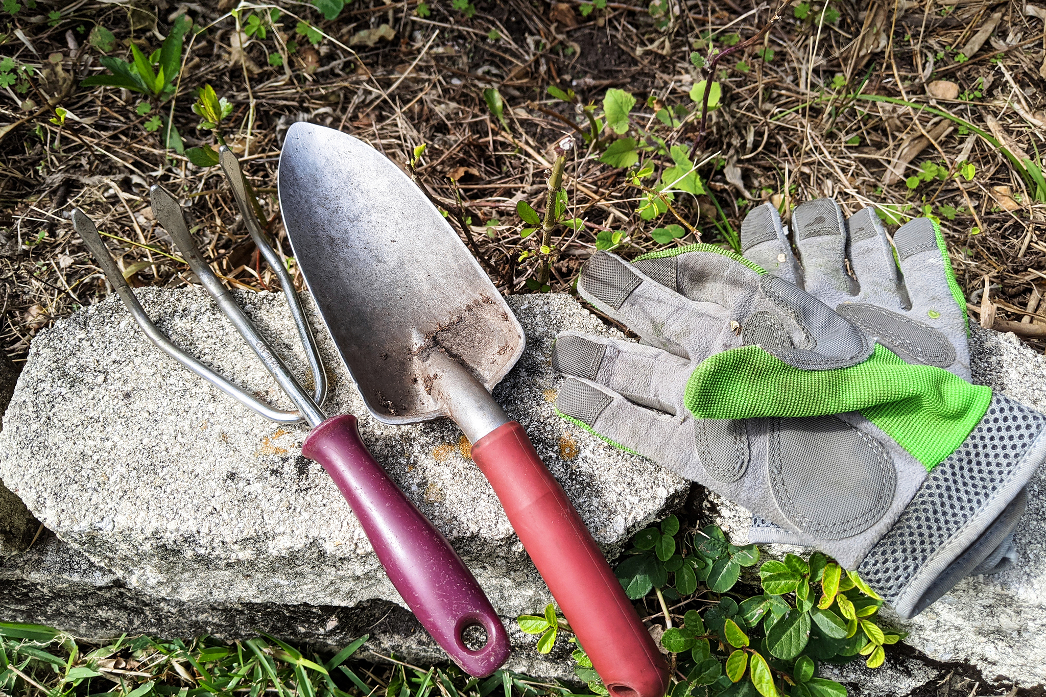 Find the Most Unique Gardening Tools Youll Ever Need