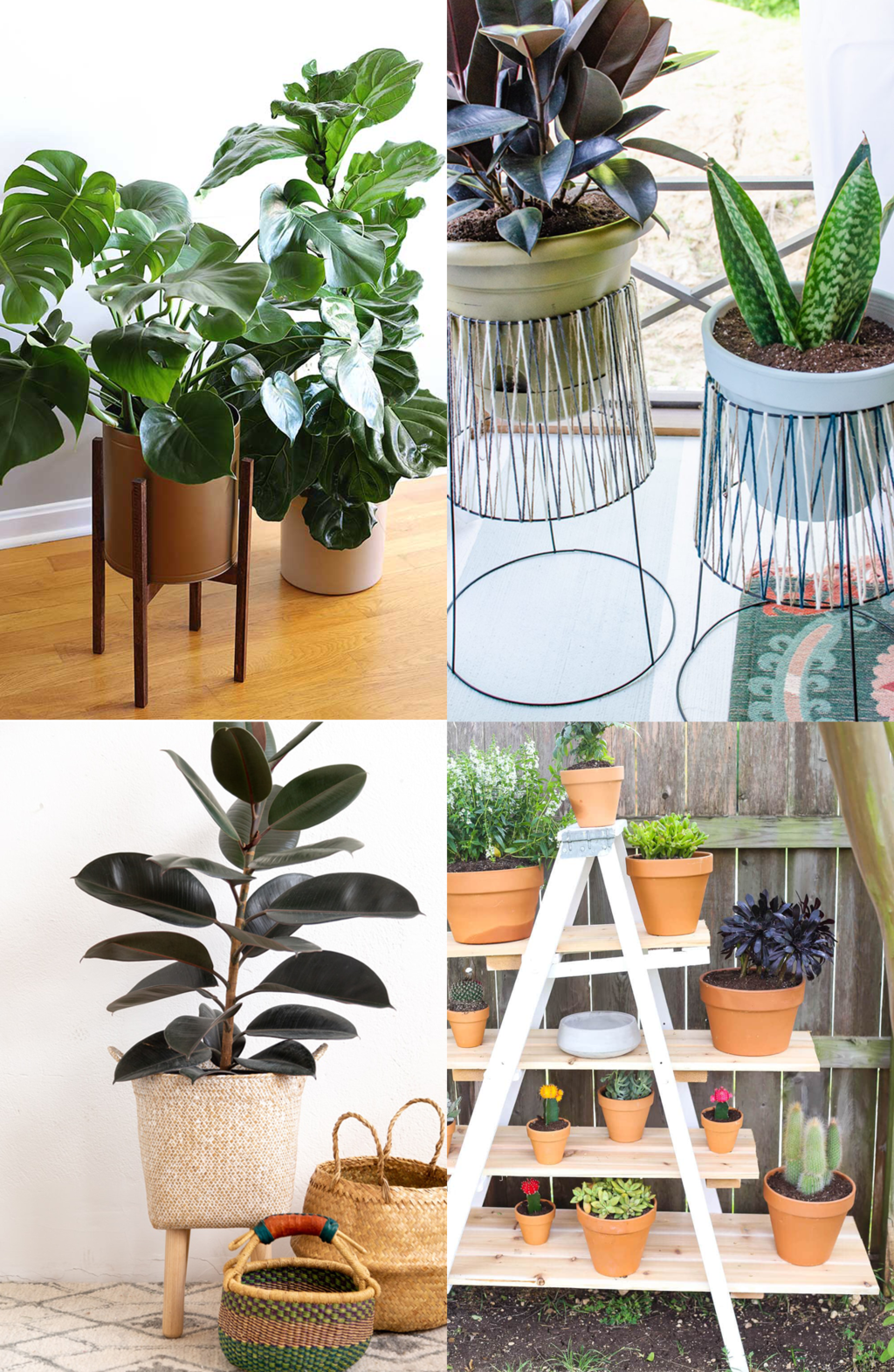 DIY Succulent Stand with Shade Sheet: A Simple Guide