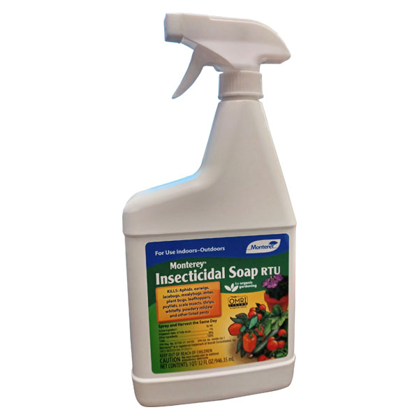 How to Use Insecticidal Soaps or Monterey Bugbuster for Wasps