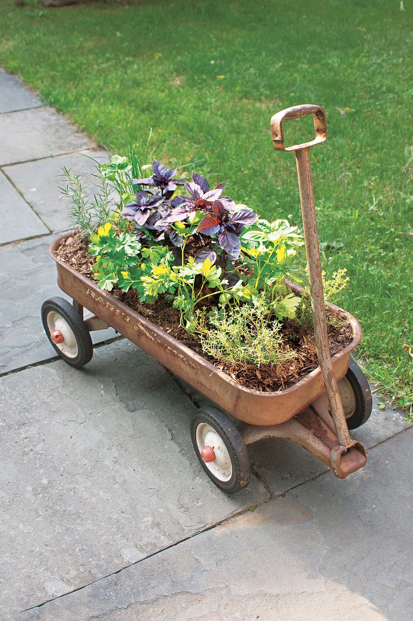 Garden Trolley for Fertilizer: Easy Spreading Tips & Tricks