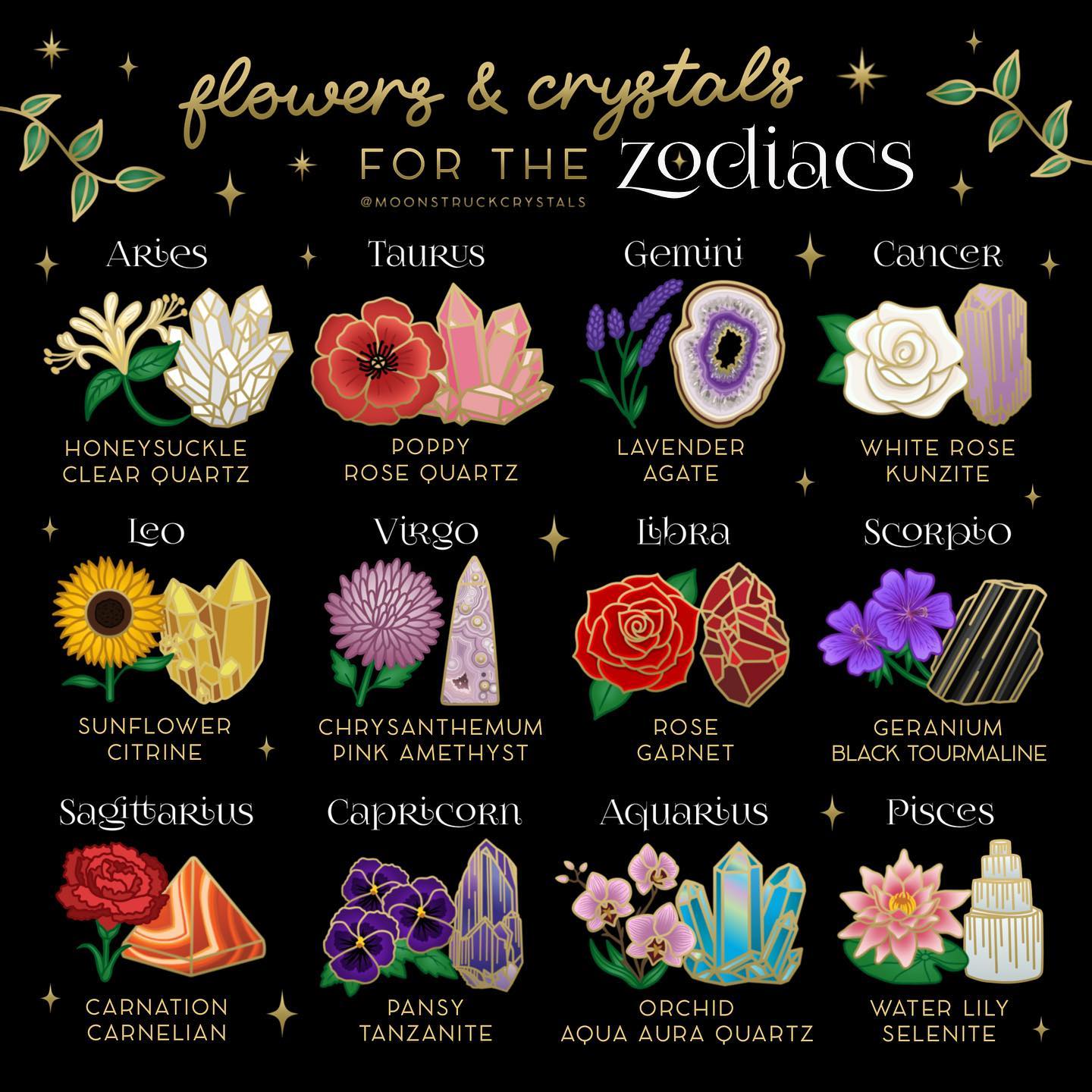 The Ultimate Guide to Zodiac Flowers for Pisces.