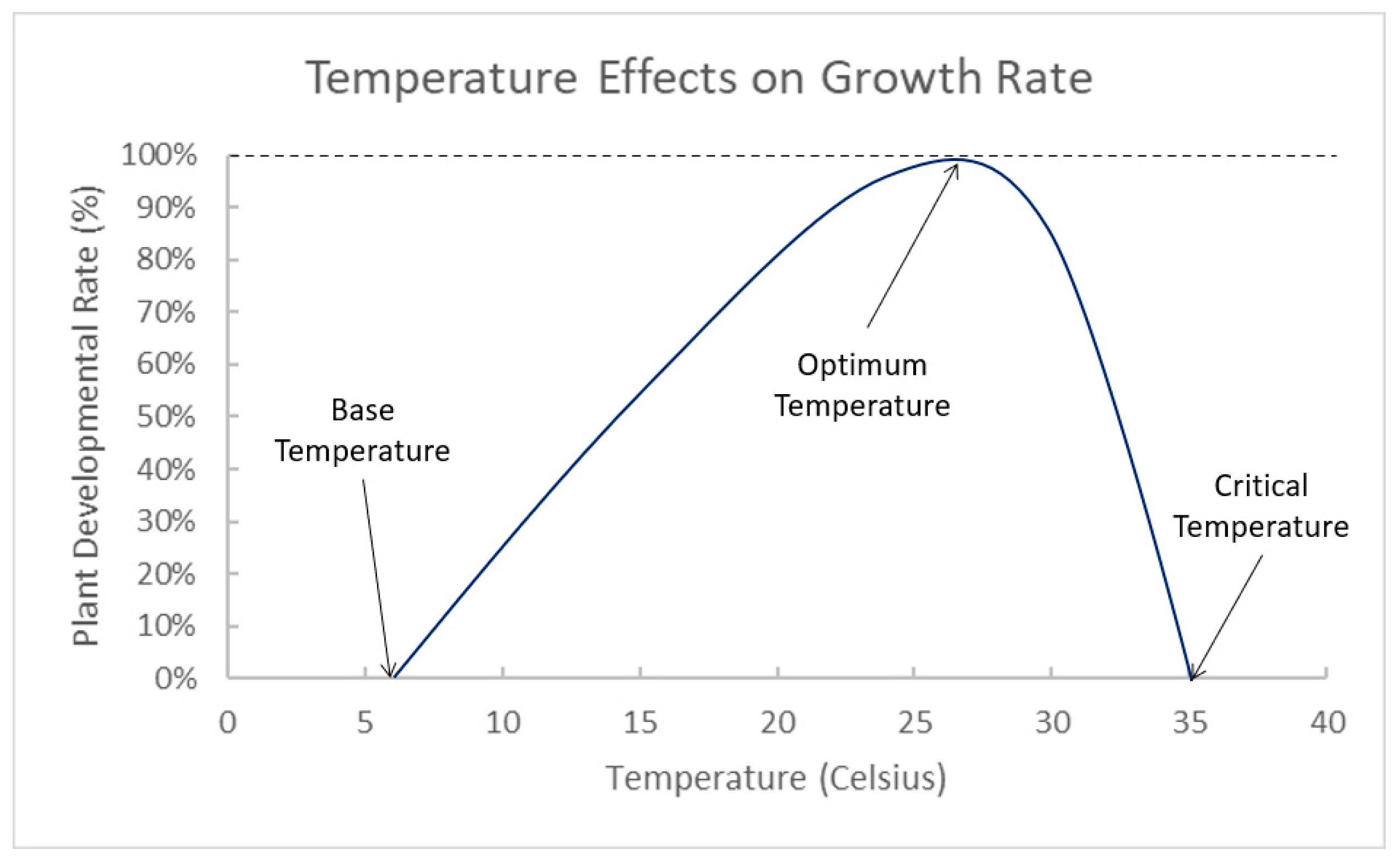 Whats the Ideal Blackberry Temperature Tolerance for Best Yields?