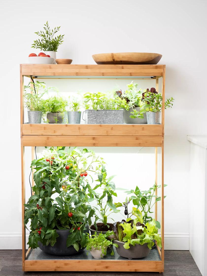 Upgrade Your Garden with Gardeners Supply Grow Lights