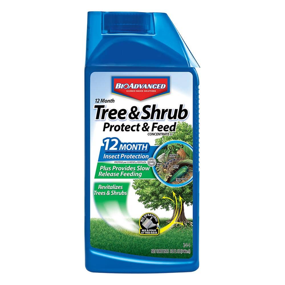 Pesticides for Trees: Best Options to Protect Your Trees