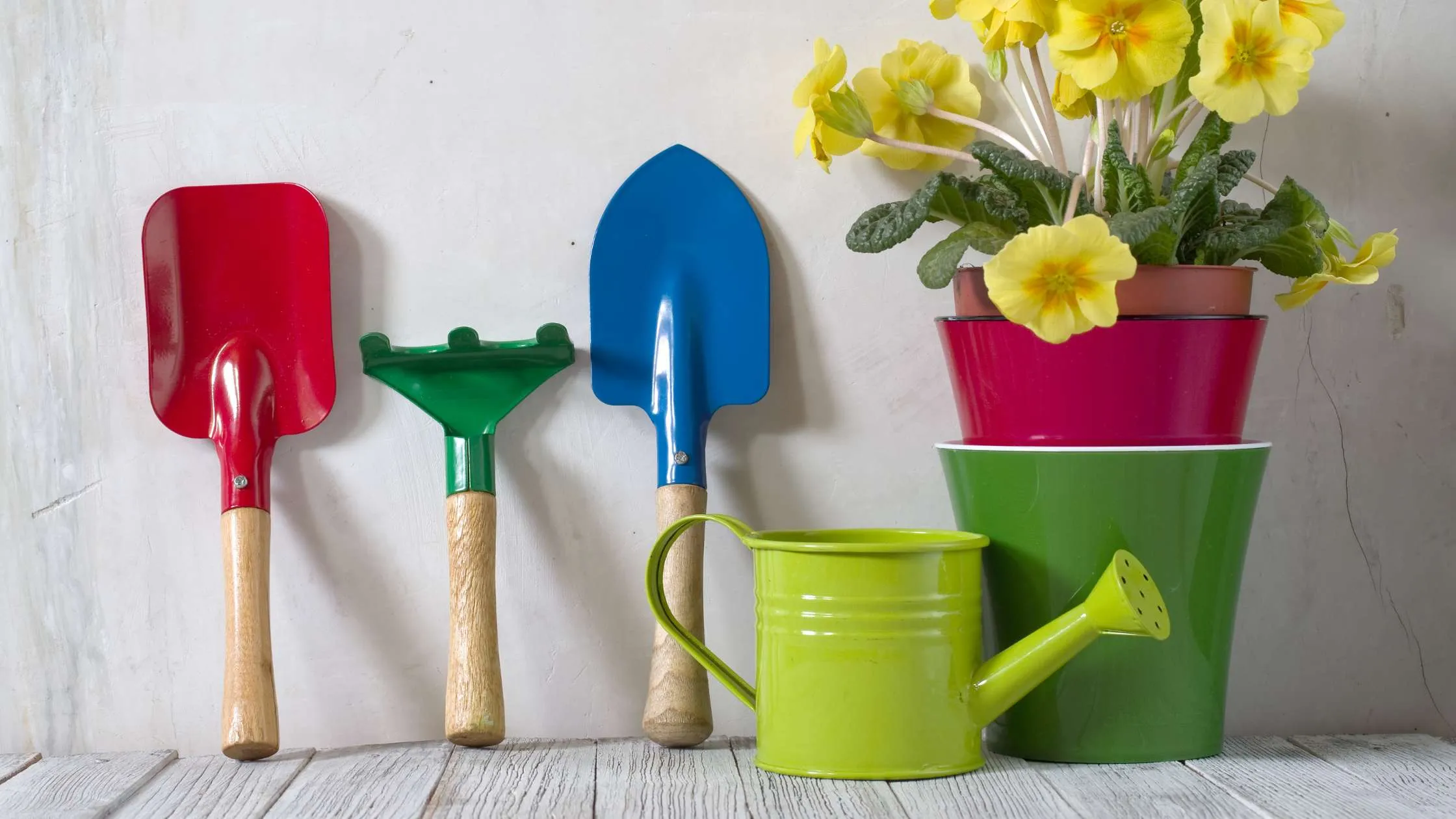 The Ultimate Guide to Choosing Hand Held Gardening Tools
