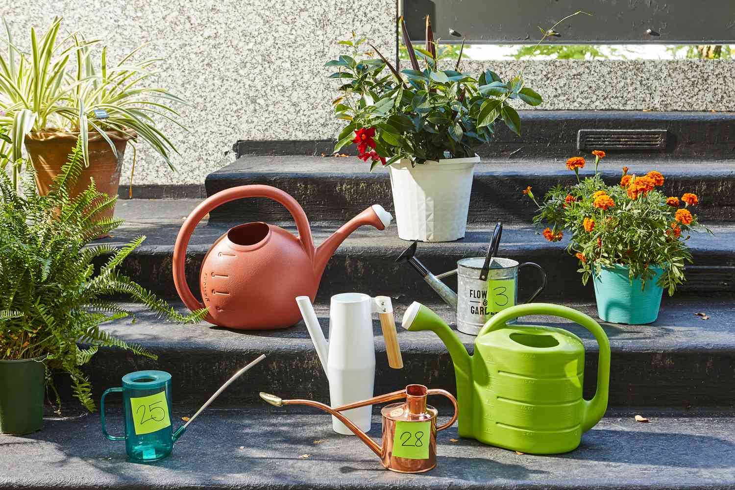 How to Choose a Good Plastic Watering Can? Tips and Tricks