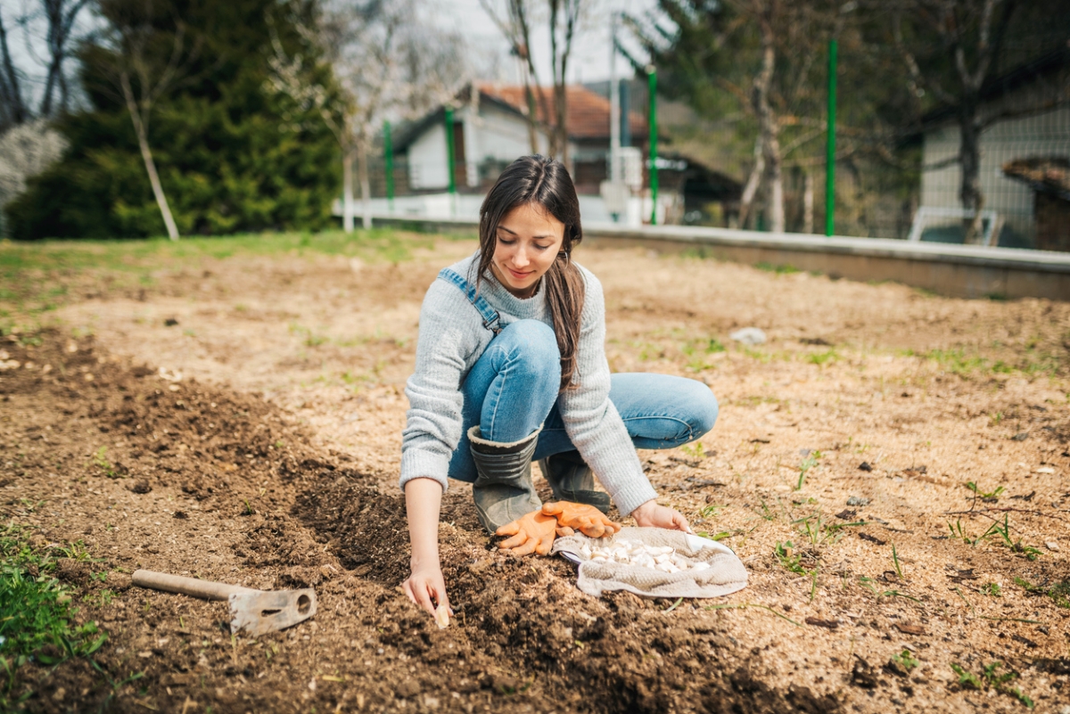 Struggling with Sandy Soil? Learn to Grow Grass That Thrives
