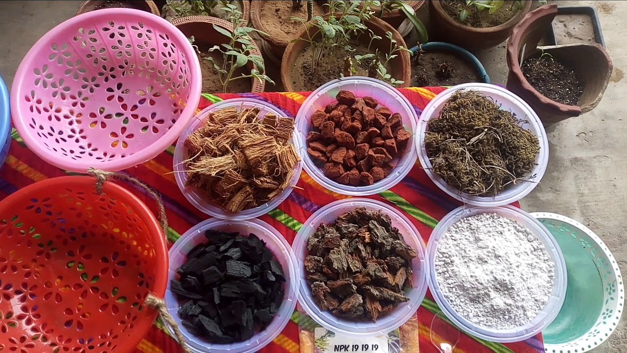Orchid Soils: How to Make Your Own Mix at Home (DIY Guide for Orchid Lovers)