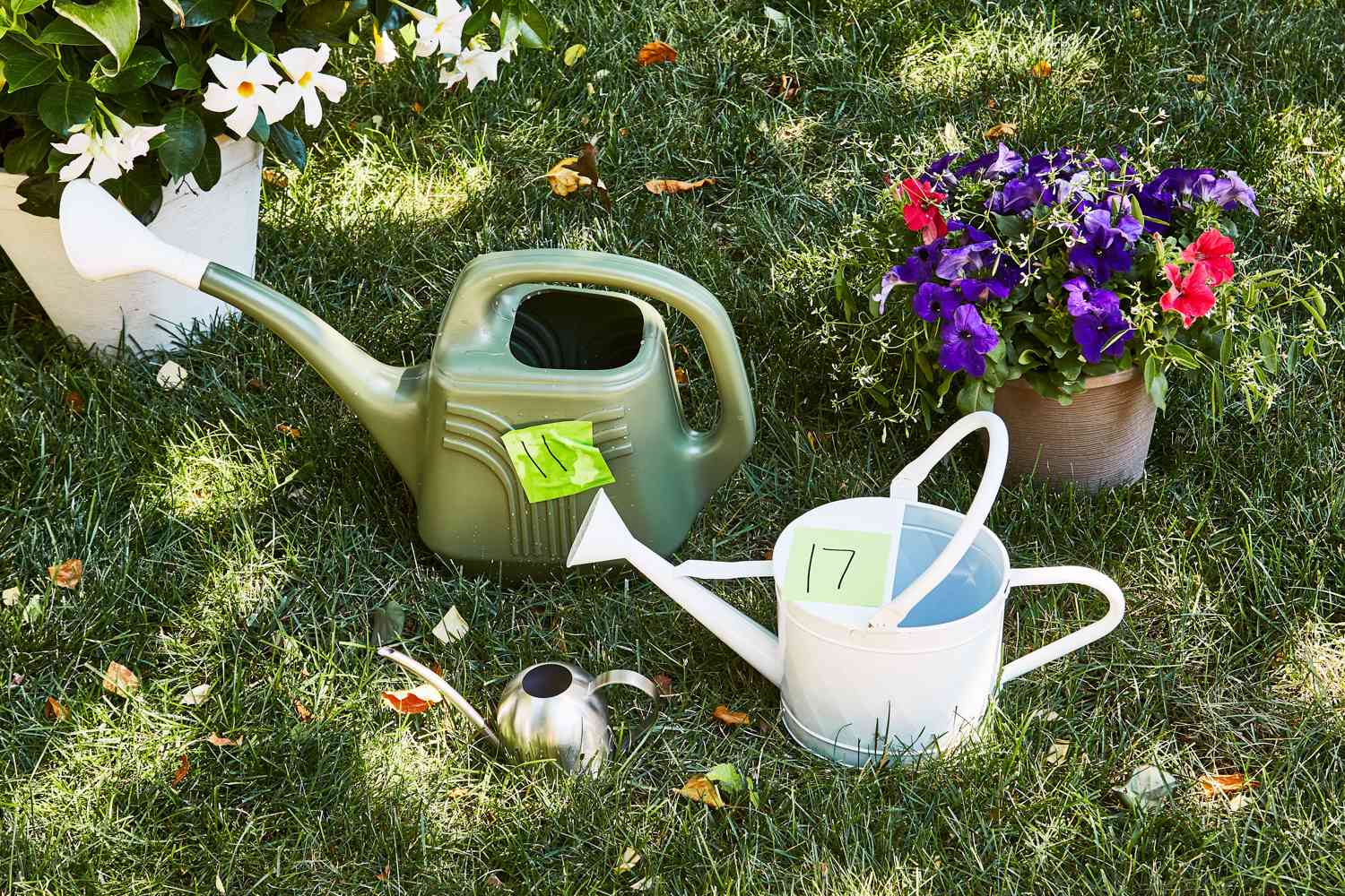 Best Watering Can Spout for Your Garden: Top Picks & Reviews