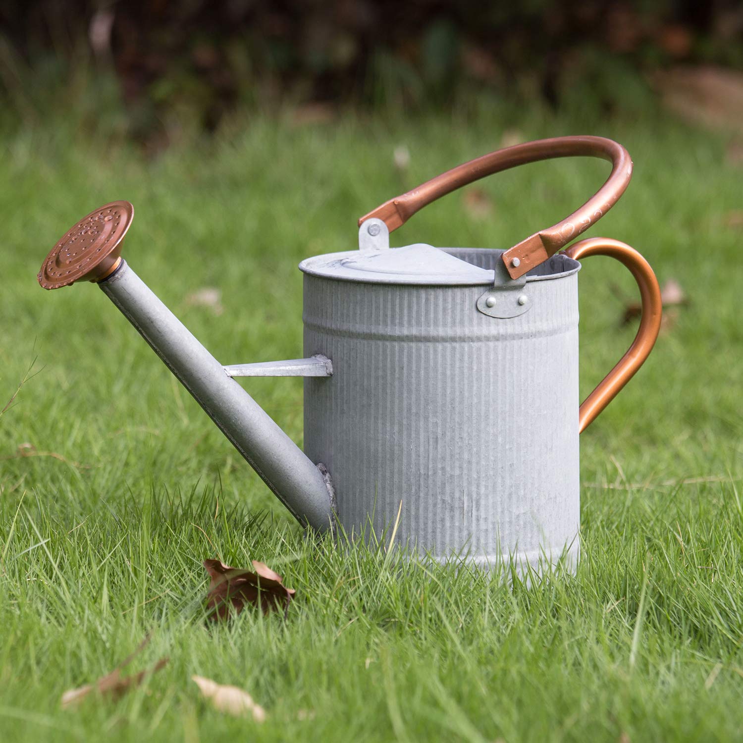 Metal Watering Cans: Find the Perfect One for Your Garden