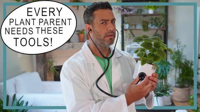 Essential Houseplant Tools: Must-Have Gadgets for Every Plant Parent!