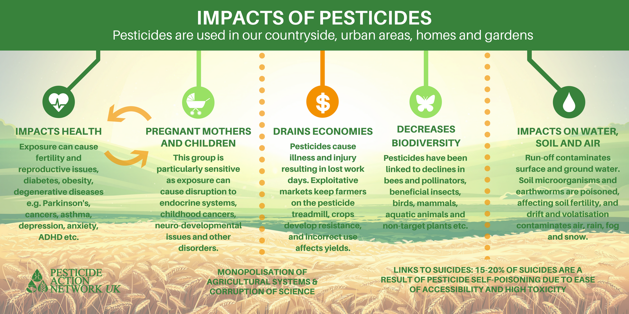The Impact of Pesticides: Do Pesticides Kill Plants and How?