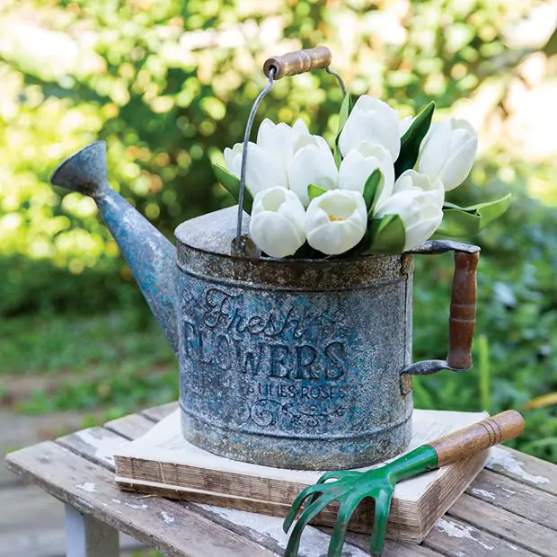 Ornamental Watering Can: Add Charm to Your Gardening