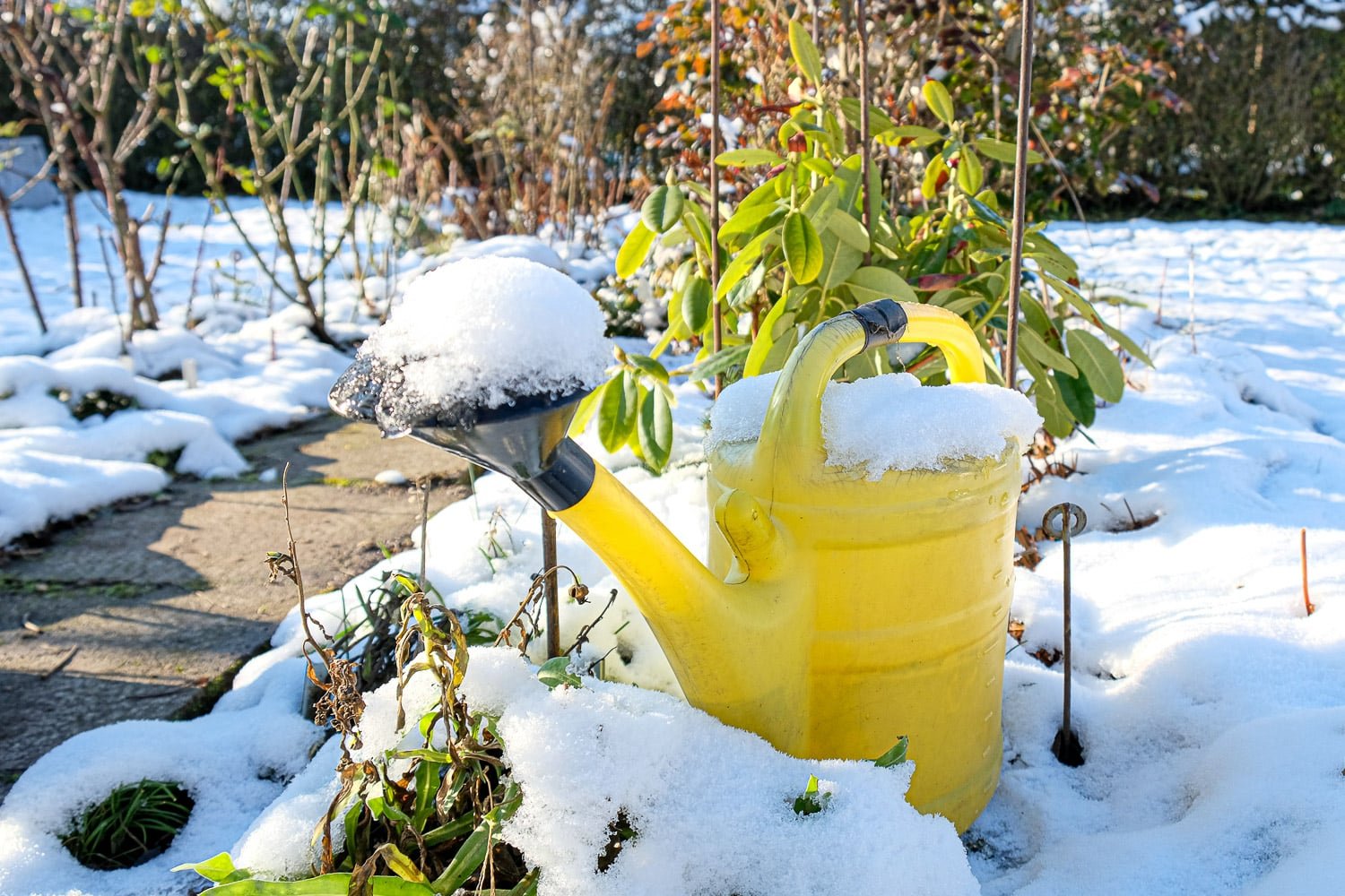 Winterizing Your Garden: Unique Strategies for Pest & Disease Prevention in Horticultural Care