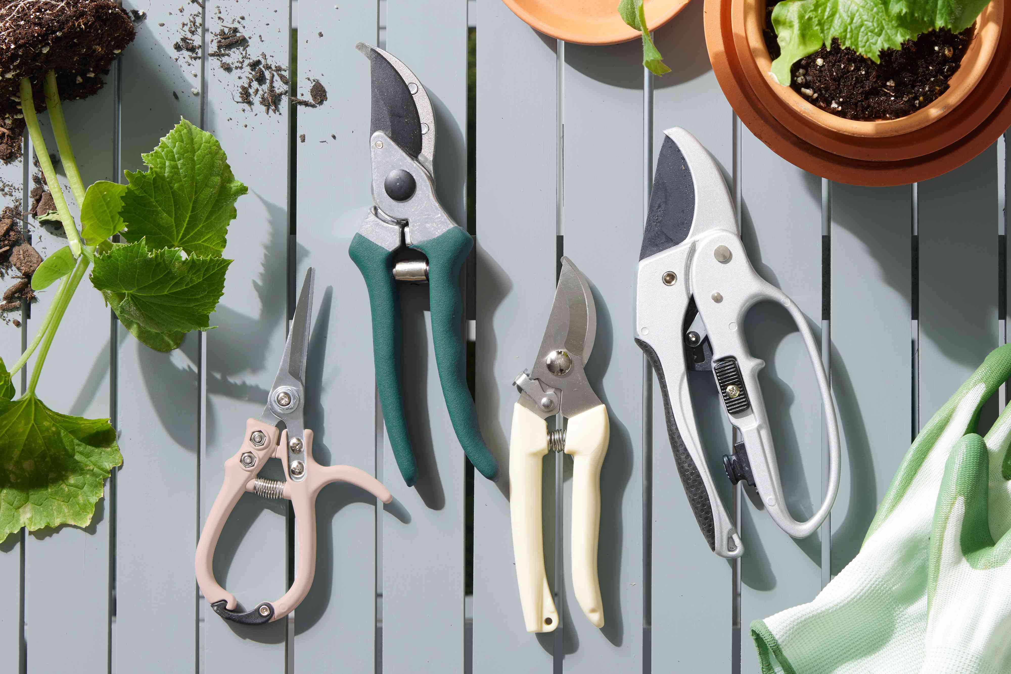 Planting Scissors: What to Look For? Get the Best Pair for Your Garden!