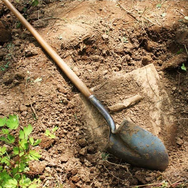 Looking for a Long Handled Garden Shovel? Tips for Choosing Right