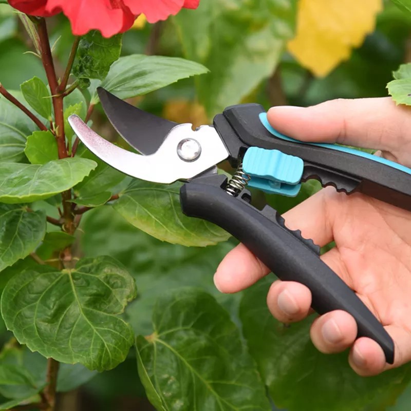 Pruning Shears & Loppers: Which Ones Do You Really Need?