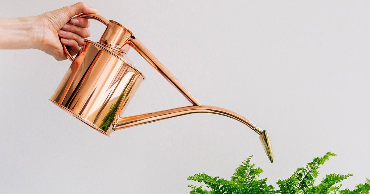 Best Copper Watering Can Indoor: Stylish & Practical Picks