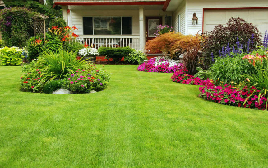 Keep It Green Lawn Care: Your Guide to a Perfect Yard