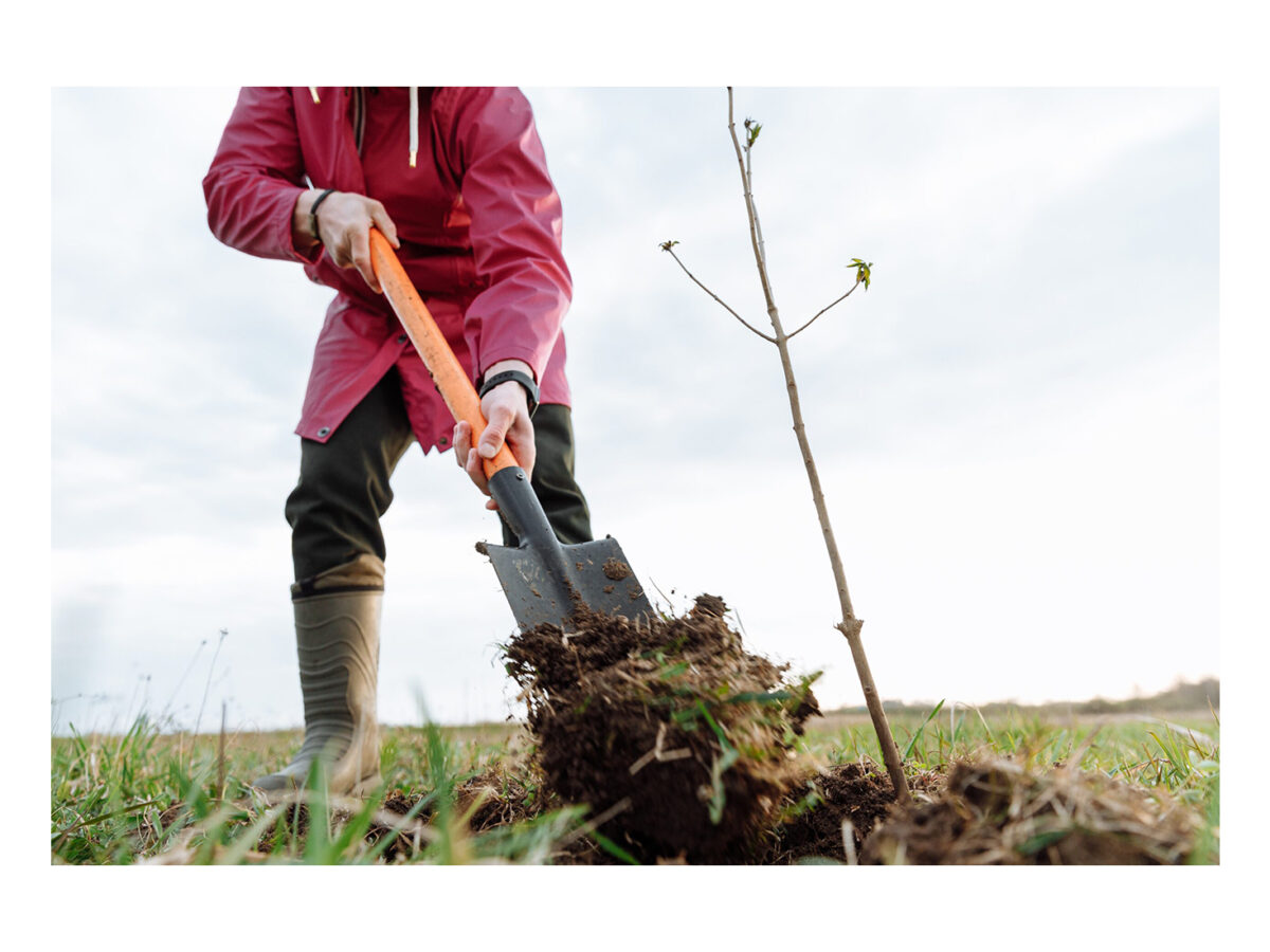 Is it hard to dig frozen ground with a shovel? Learn how to make it easier.