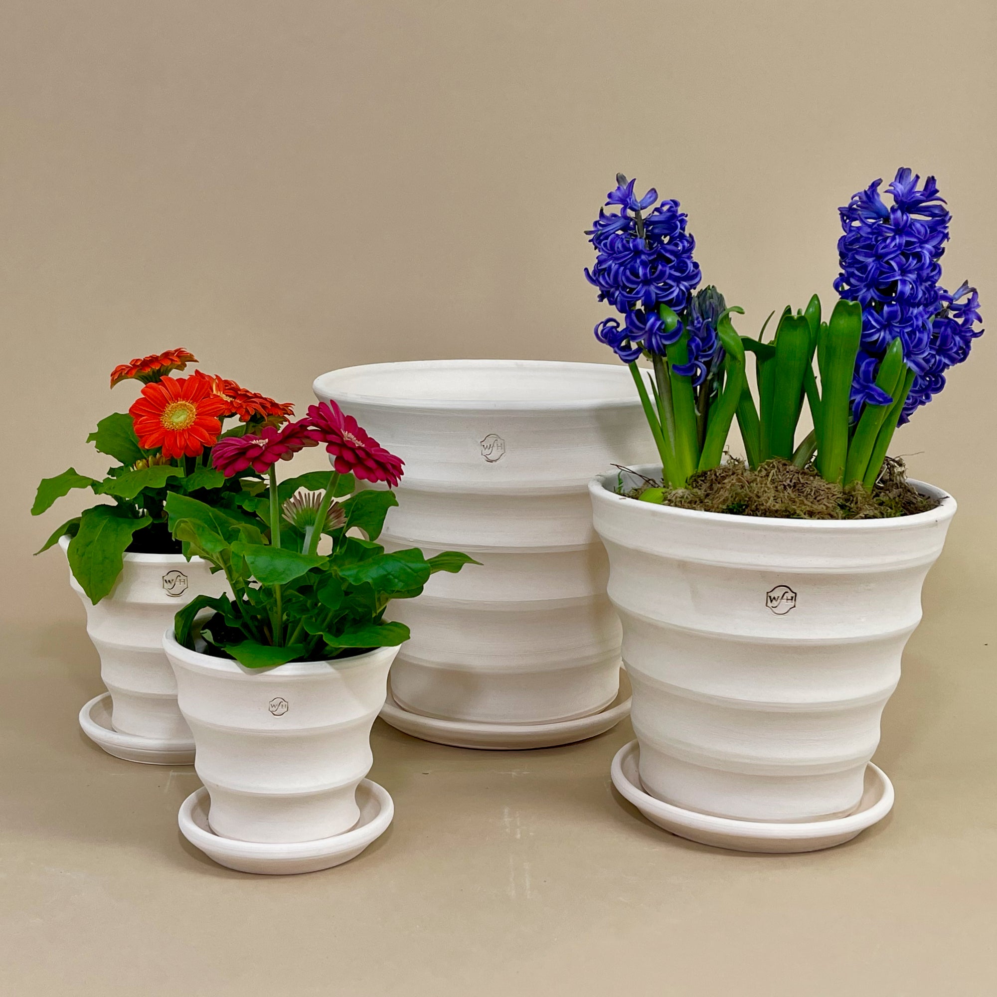 Need a flowerpot with saucer? Heres where to find the best ones!