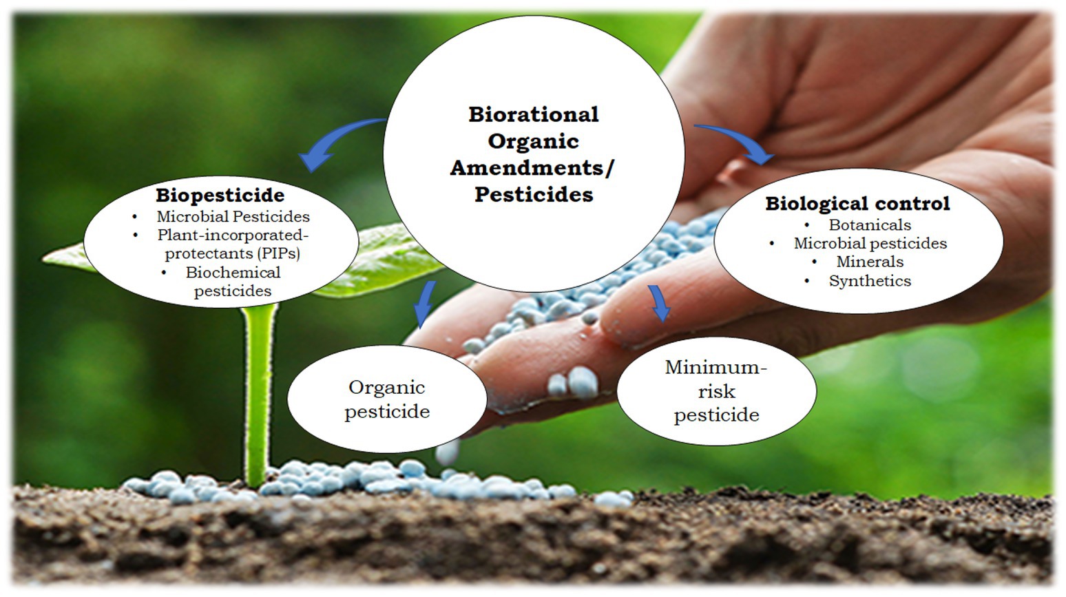 Overcoming Pests & Diseases: The Role of Soil Aeration in Horticultural Preservation
