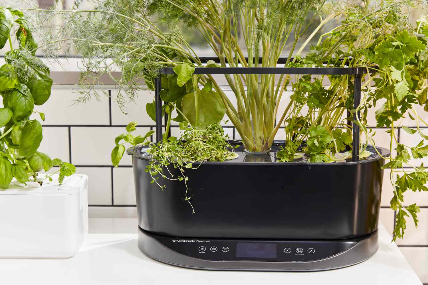 Need a Grow Light Standing? Top Picks for Beginners (Improve Your Indoor Garden with This Guide)