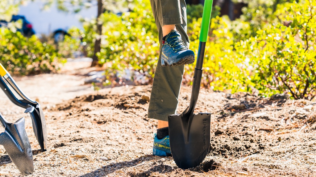 Top 5 Best Gardening Shovels for Every Gardener