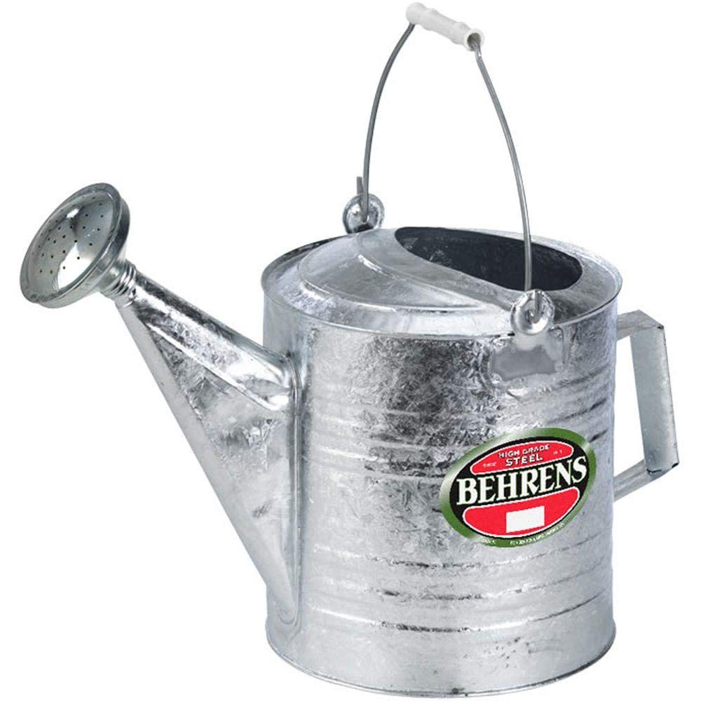 Buying a 2 Gallon Metal Watering Can? Check Out These Helpful Tips
