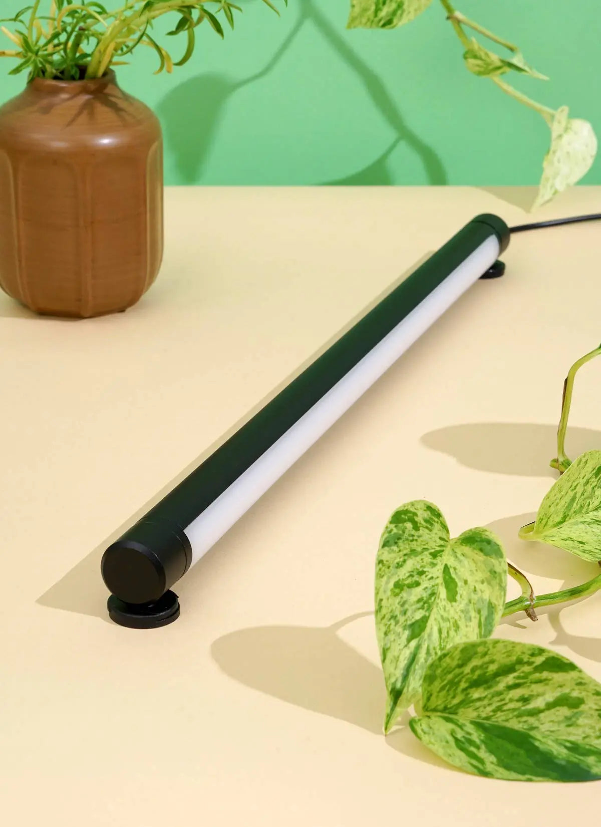 What is the price of grove light? It depends on these factors!