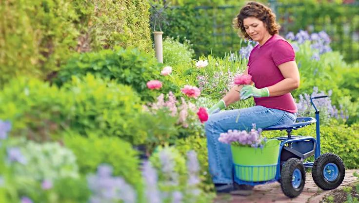 Top Gardening Tools for Elderly People: Safe and Simple Choices