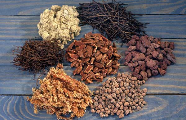 Orchid Soils: How to Make Your Own Mix at Home (DIY Guide for Orchid Lovers)