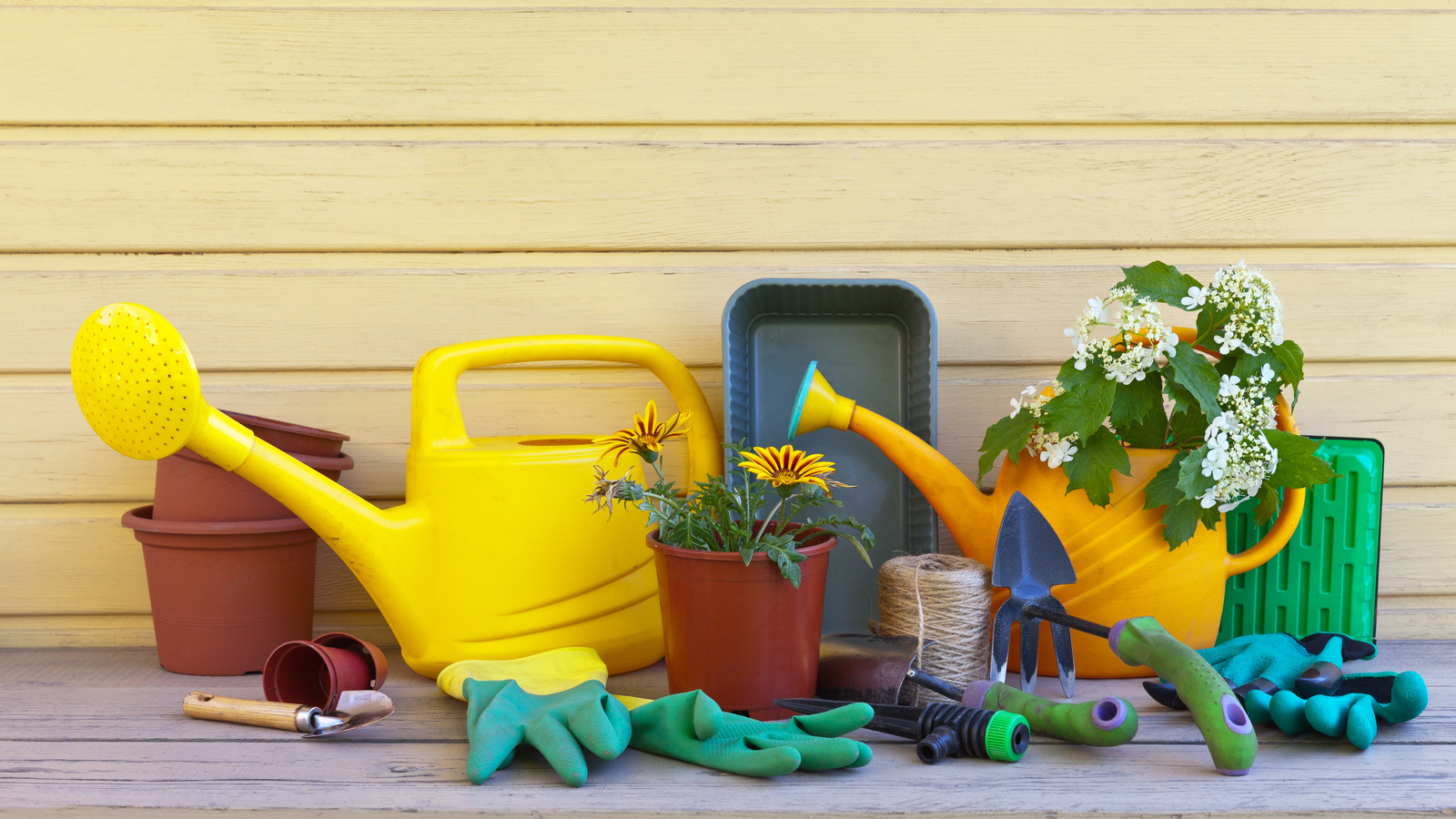 Upgrade Your Garden with These Watering Tools Must-Haves