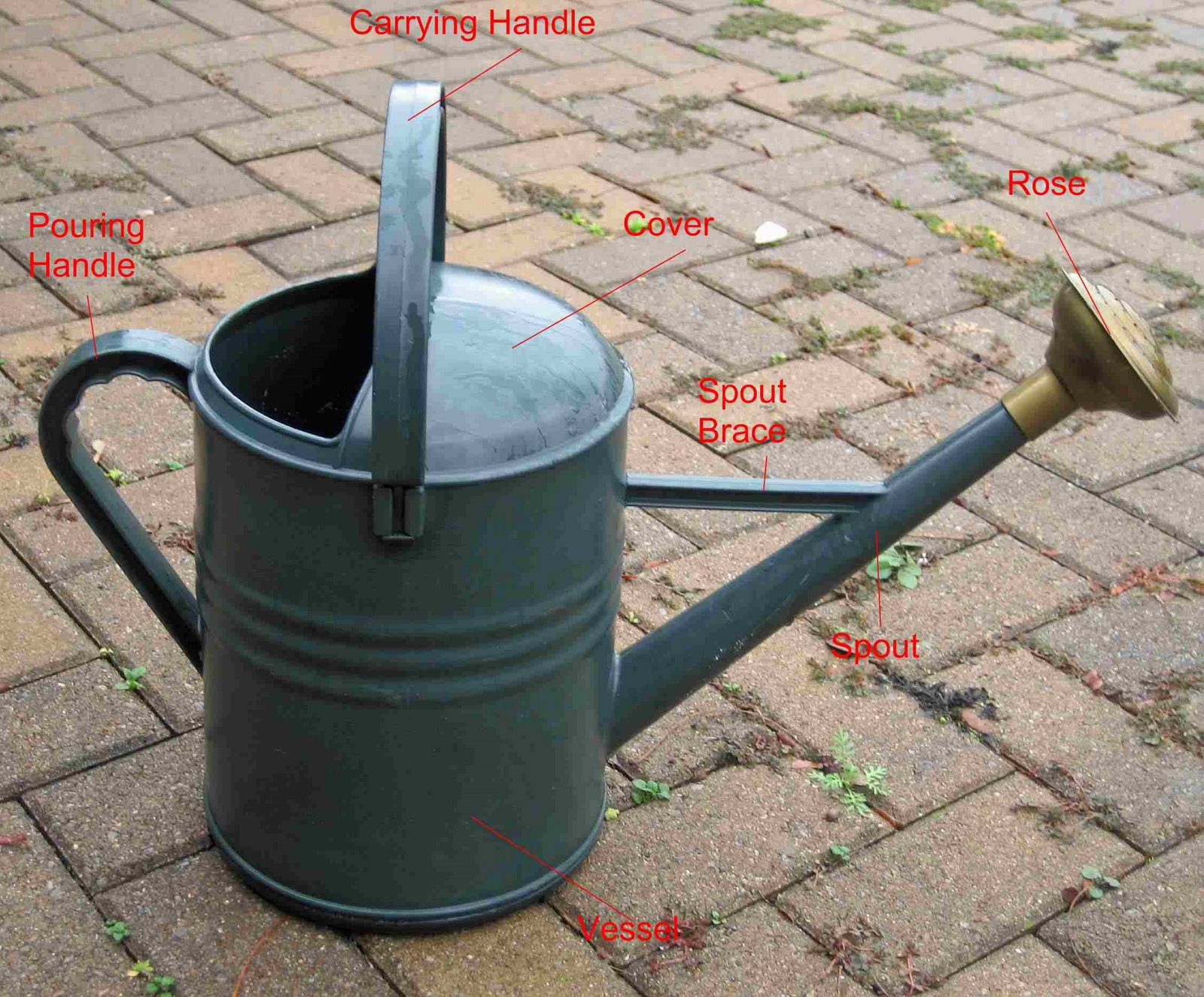 Parts of a Watering Can: What Are They and How Do They Work?